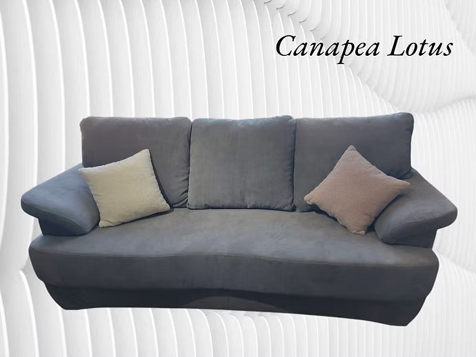 Canapea extensibila Lotus